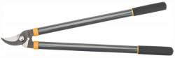 Obr�zok (1)